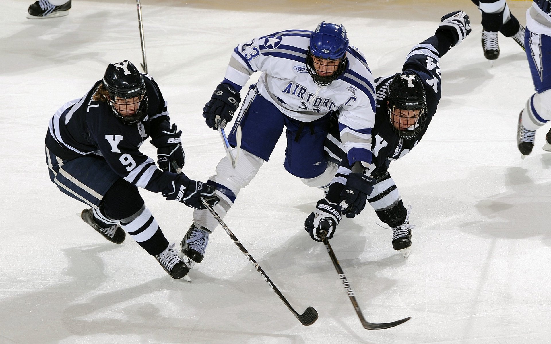 球员赛季表现赢得专家认可，赛季最佳球员